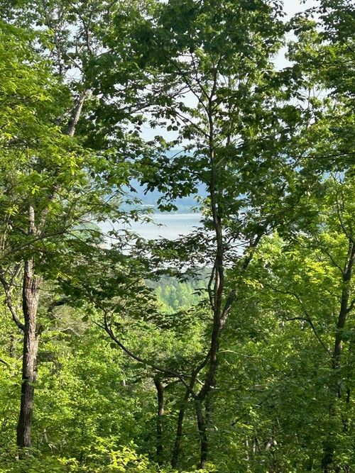 324 Adair Dr Ne, Ranger, GA, 30734 | Card Image