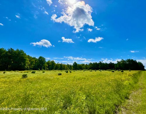 9755 State Route 171, Union Dale, PA, 18470-7436 | Card Image