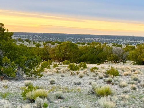 TBD Co Rd N6579 37.25 Acres, St. Johns, AZ, 85936 | Card Image