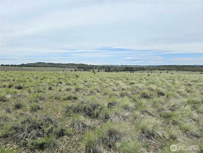 226 Duree Rd, Home with 0 bedrooms, 0 bathrooms and null parking in Bickleton WA | Image 13