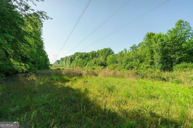 6053 Sun Hill Grange Rd, Home with 0 bedrooms, 0 bathrooms and null parking in Davisboro GA | Image 34
