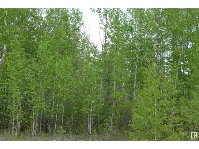 11032 Highway 13, Home with 0 bedrooms, 0 bathrooms and null parking in Westerose AB | Image 8