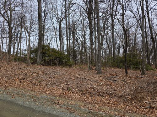Lot 8 Edgeview Dr, Meadows of Dan, VA, 24120 | Card Image