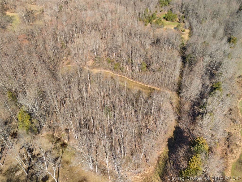 Land in Scottsburg 3