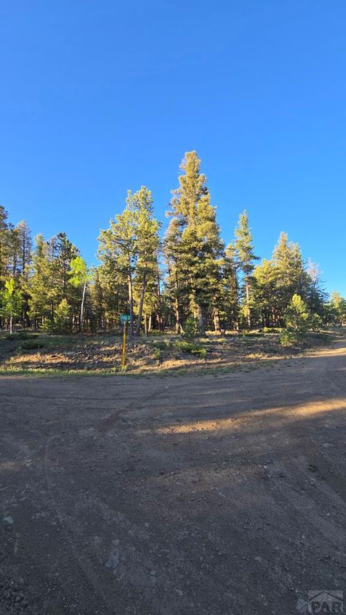 TBD Chubb, Buena Vista, CO, 81211 | Card Image