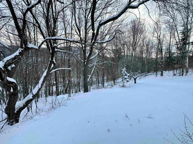 652 South St, House other with 2 bedrooms, 2 bathrooms and null parking in Middletown Springs VT | Image 26