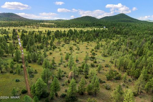 000 Dipping Vat Spring Fire Road, Vernon, AZ, 85940 | Card Image