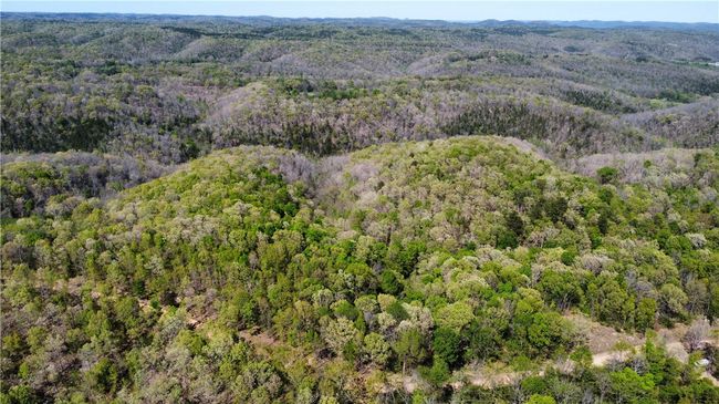 000 Holmes Rd, Home with 0 bedrooms, 0 bathrooms and null parking in Mountain View AR | Image 9