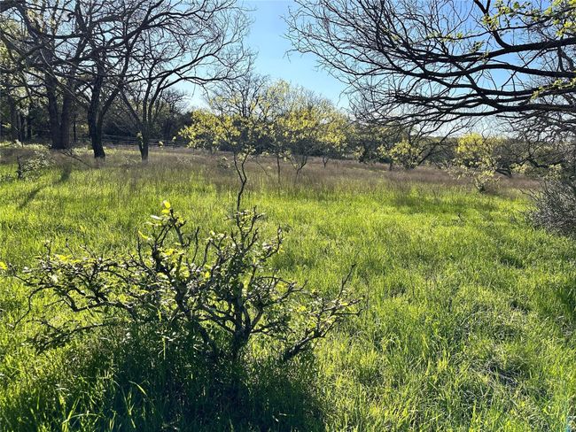 Lot 13 Cr 127, Home with 0 bedrooms, 0 bathrooms and null parking in Carlton TX | Image 31