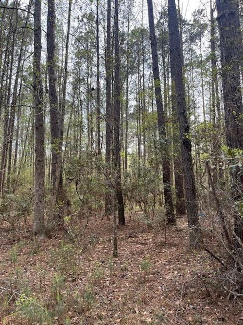 0 Palm St, Reevesville, SC, 29471 | Card Image