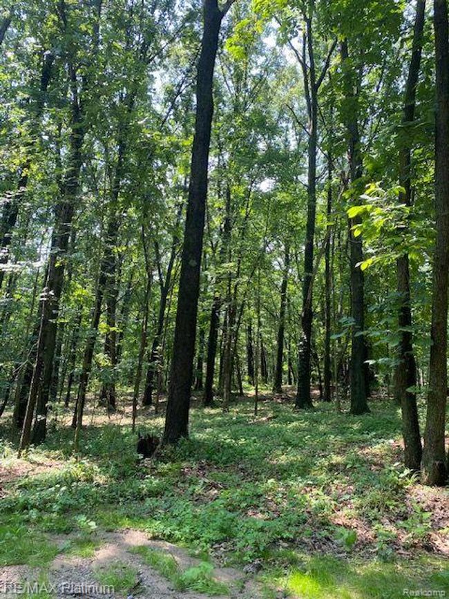 6 Sleaford Parcel 6   2.1 Acres Road, Home with 0 bedrooms, 0 bathrooms and null parking in Howell Township MI | Image 36