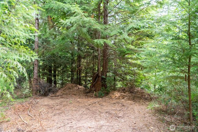 51 N Trail Head Loop, Home with 0 bedrooms, 0 bathrooms and null parking in Lilliwaup WA | Image 4