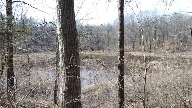 12100 Woodland Trl, Home with 0 bedrooms, 0 bathrooms and null parking in Davisburg MI | Image 20