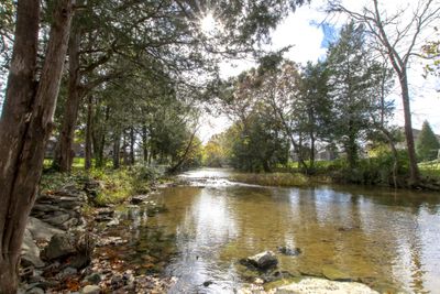 Fabulous view! This back yard oasis is absolutely breathtaking and so serene. Here is the perfect place to relax after a long day. Stay with me and enjoy everything this home has to offer. Picture PERFECT! | Image 1