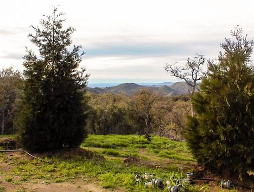 697 Chuckwagon Rd, Squaw Valley, CA, 93675 | Card Image