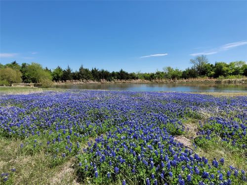 6824 W Highway 175, Kaufman, TX, 75142 | Card Image