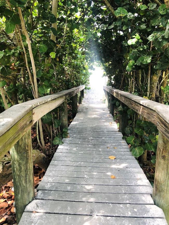 just couple blocks to the beach | Image 4