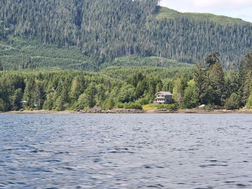 {{alt}} | Card Image