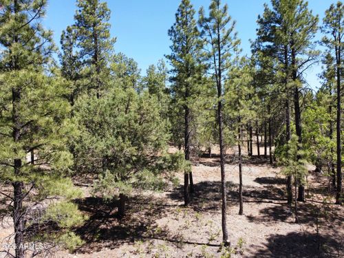 415-4450 Blackfoot Cir, Happy Jack, AZ, 86024-8027 | Card Image