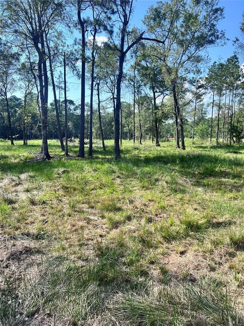 257 Rhonda Rosa Rd, Wallisville, TX, 77597-4403 | Card Image