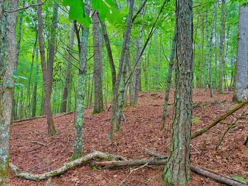 00 Hale Ct, Ellijay, GA, 30540 | Card Image