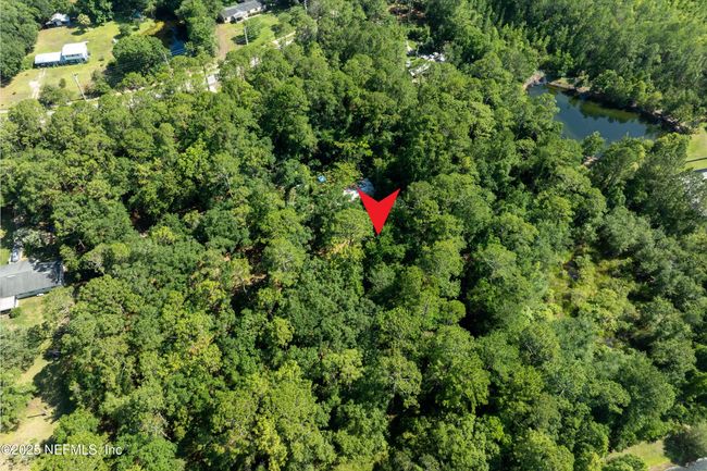 2675 Starratt Rd, Home with 0 bedrooms, 0 bathrooms and null parking in Jacksonville FL | Image 7