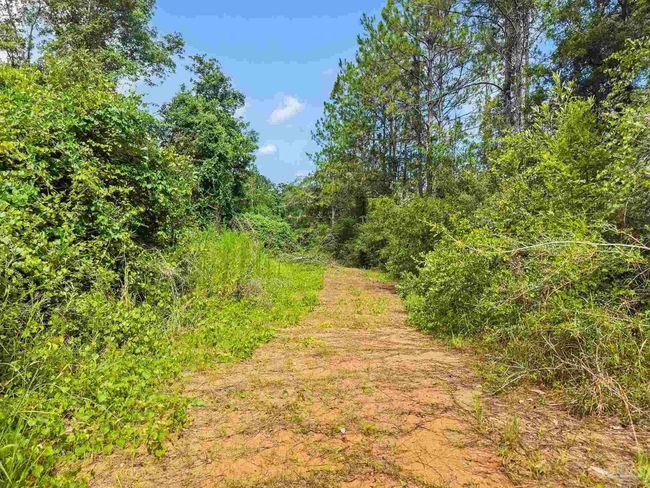 6640 Frank Reeder Rd, House other with 3 bedrooms, 2 bathrooms and 1 parking in Pensacola FL | Image 35