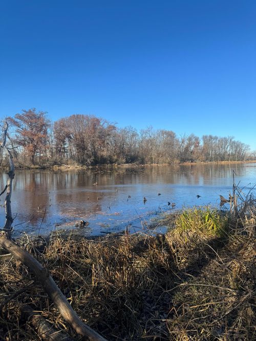 816 30th St Nw, Faribault, MN, 55021-1837 | Card Image