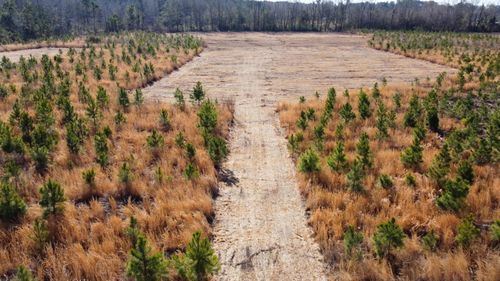 8 Old Highway 6, Cross, SC, 29436 | Card Image