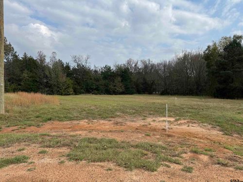 Lot 16 Hunters Holw, Mt Vernon, TX, 75457 | Card Image