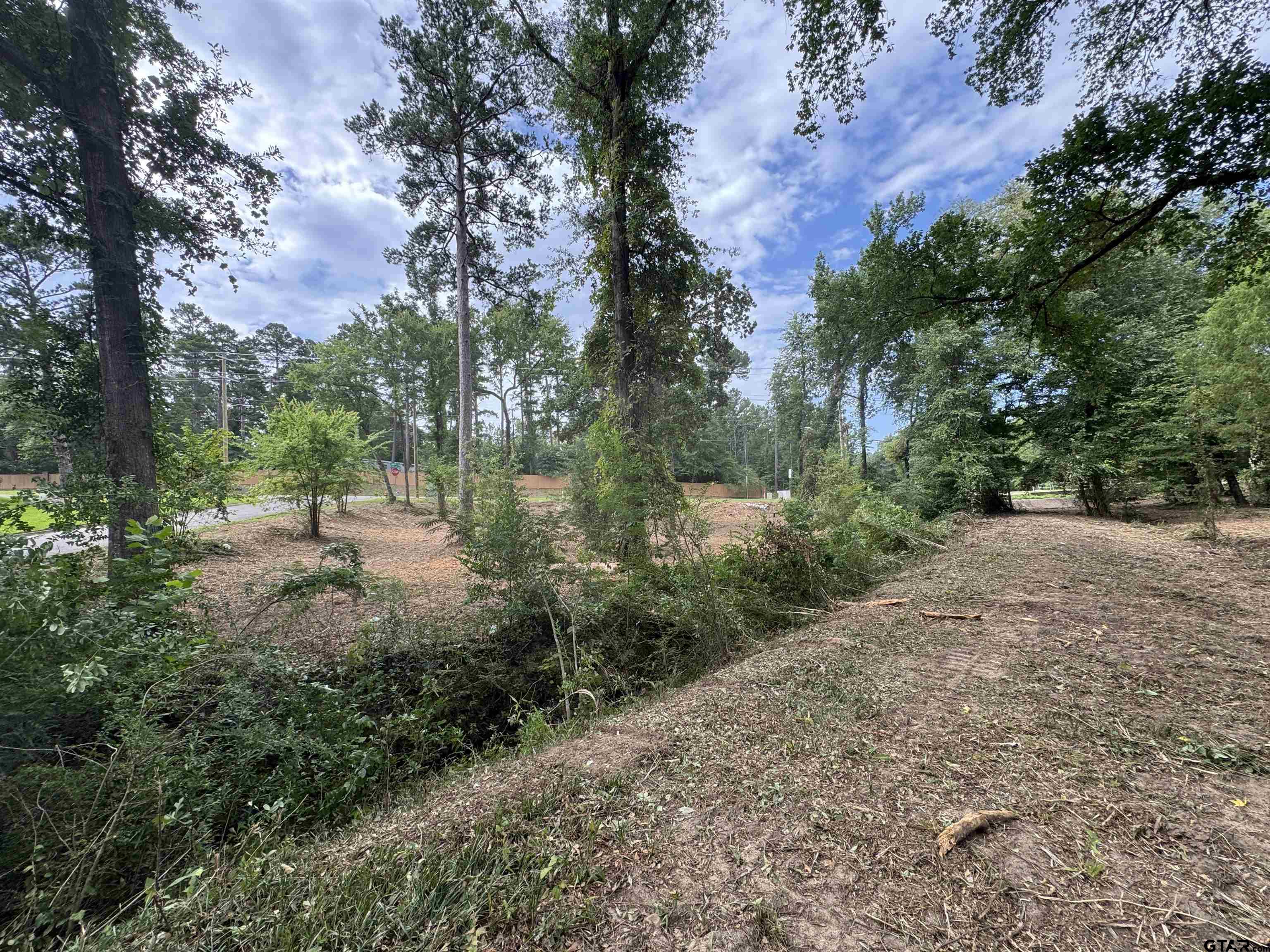 Land in Tyler 3