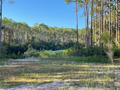 189 Royal Tern Way, Home with 0 bedrooms, 0 bathrooms and null parking in Carrabelle FL | Image 2