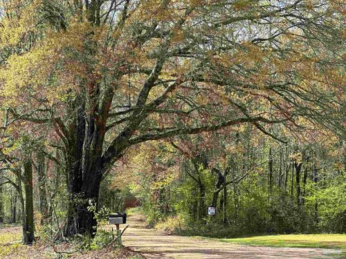 Parcel G Lett Rd, Frisco City, AL, 36445 | Card Image