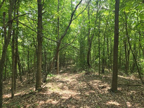 0 Stout Hollow Rd, Portsmouth, OH, 45662 | Card Image