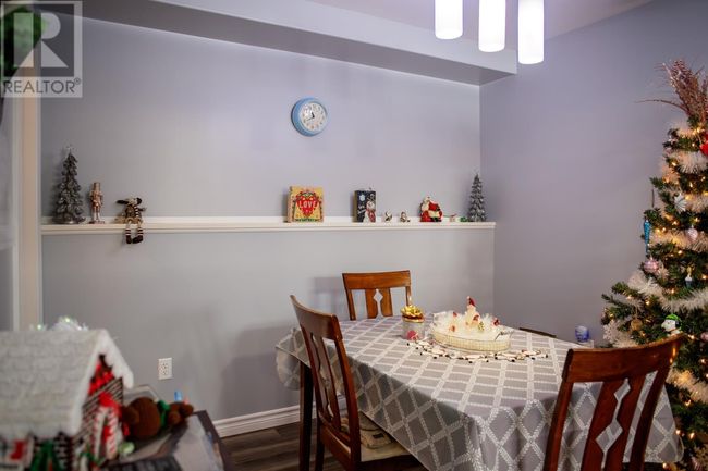 16 Cedar Lane, Home with 4 bedrooms, 2 bathrooms and null parking in Springdale NL | Image 27