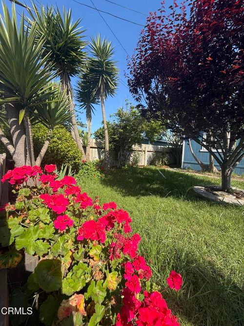 1361 E Oak St, Fort Bragg, CA, 95437-3911 | Card Image