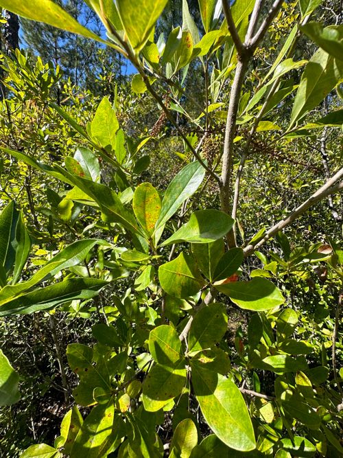 Parcel D Millside Rd, Laurel Hill, FL, 32567 | Card Image