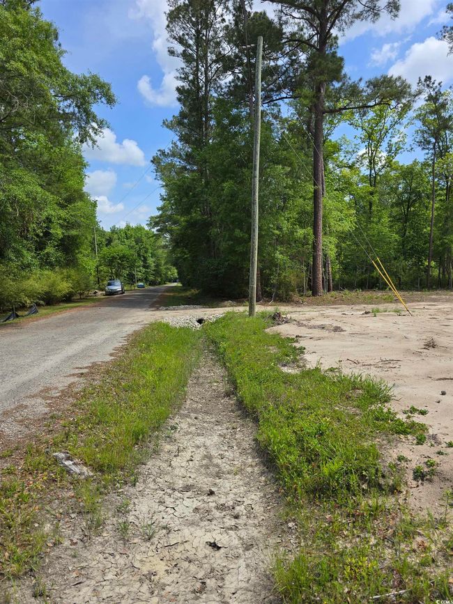 View of asphalt street with a view of trees | Image 6