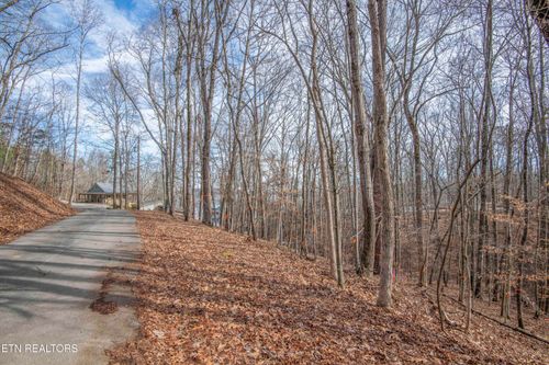 00 Sunset Ct, Spring City, TN, 37381 | Card Image