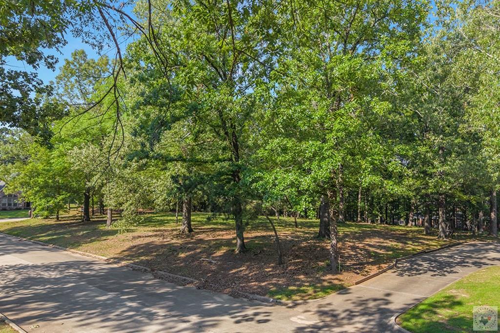 Land in Texarkana 2