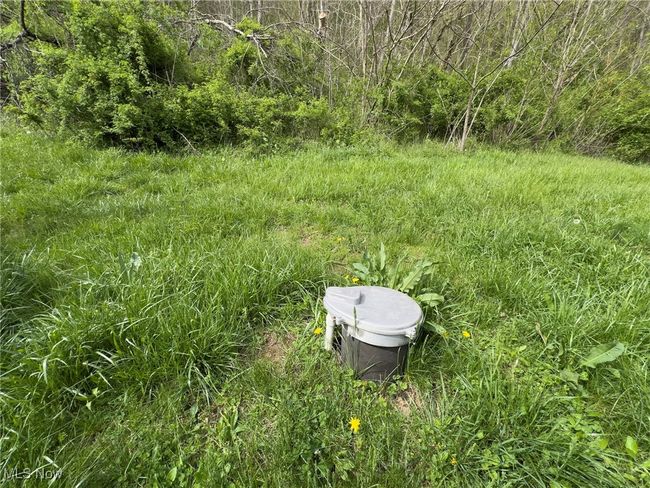 View of yard | Image 29