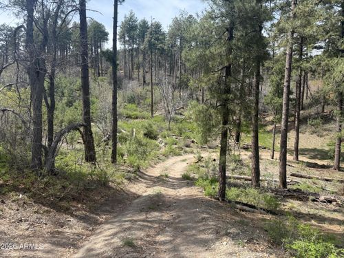 --00 E Wild Flower Road, Crown King, AZ, 86343 | Card Image