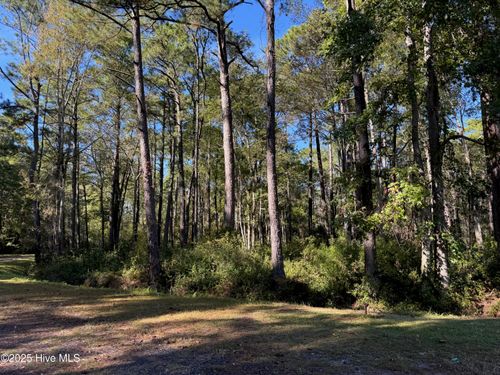 11 Thicketwood Dr, Calabash, NC, 28467 | Card Image
