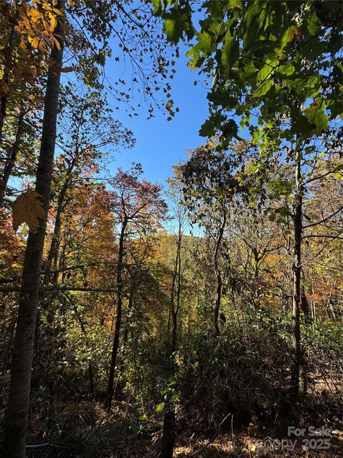 9999 Hemlock Trl, Hendersonville, NC, 28739 | Card Image