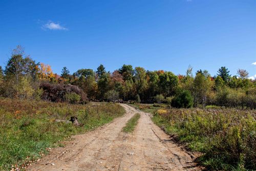 91 Venheim Rd, Lunenburg, VT, 05906-9774 | Card Image