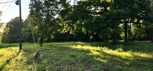 14598 County Road 1122, Athens, TX, 75751 | Card Image