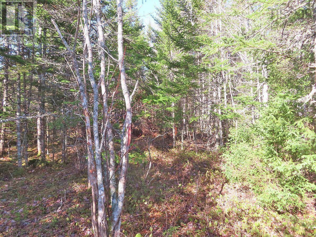Land in Grantville 3