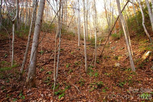 4-TBD Rector Branch Road, Marshall, NC, 28743 | Card Image