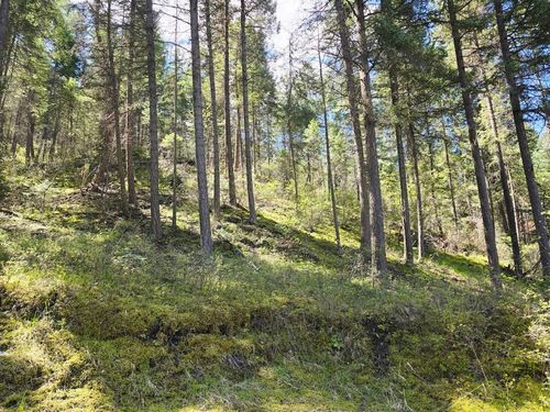 93 Wapiti Point Road, Thompson Falls, MT, 59873 | Card Image