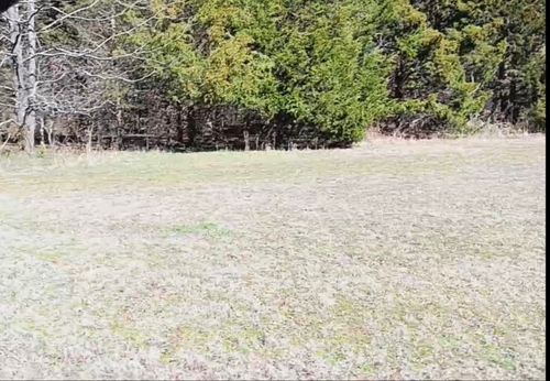 1285 Golf Dr, Saulsbury, TN, 38067 | Card Image